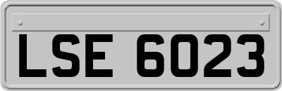LSE6023