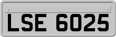 LSE6025