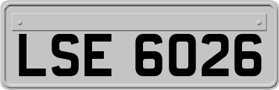 LSE6026