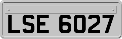 LSE6027
