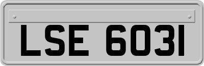 LSE6031