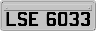 LSE6033