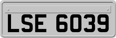 LSE6039