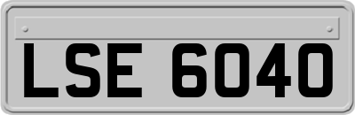 LSE6040