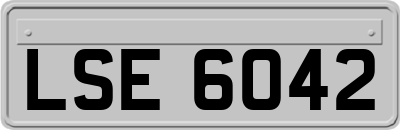 LSE6042