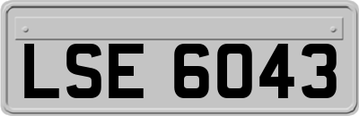 LSE6043