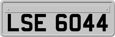 LSE6044