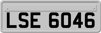 LSE6046