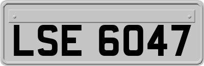 LSE6047