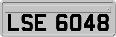 LSE6048