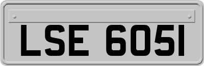 LSE6051