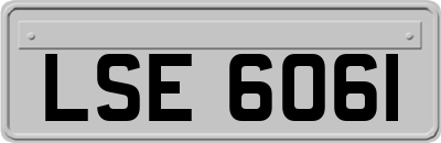 LSE6061