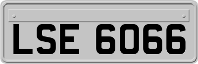 LSE6066