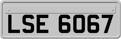 LSE6067