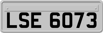 LSE6073