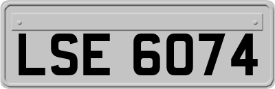 LSE6074
