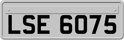 LSE6075