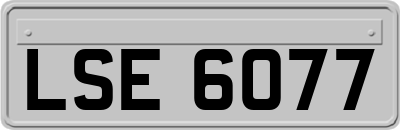 LSE6077