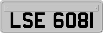 LSE6081