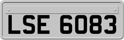 LSE6083