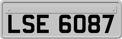 LSE6087