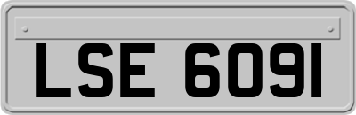 LSE6091