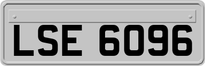 LSE6096