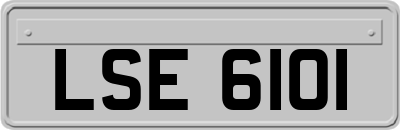 LSE6101