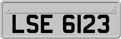 LSE6123