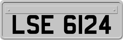 LSE6124
