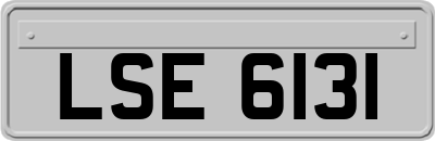 LSE6131
