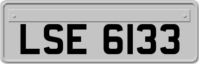 LSE6133