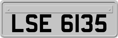 LSE6135