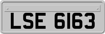 LSE6163