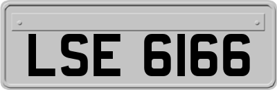 LSE6166