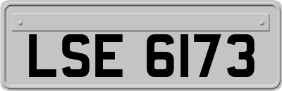 LSE6173