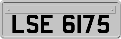 LSE6175
