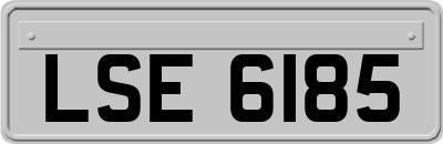 LSE6185