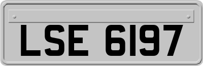 LSE6197