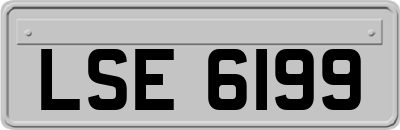 LSE6199