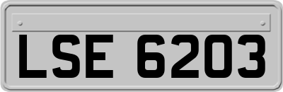 LSE6203