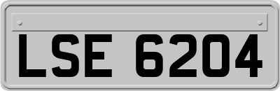 LSE6204