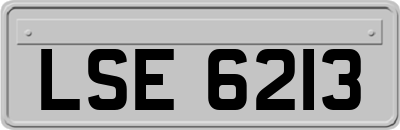 LSE6213