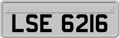 LSE6216