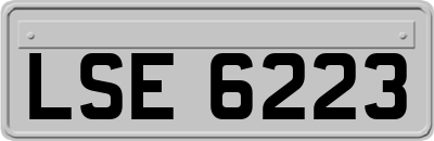 LSE6223