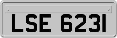 LSE6231