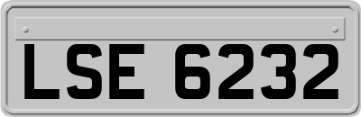 LSE6232