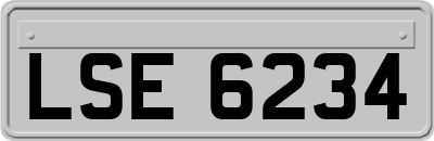 LSE6234