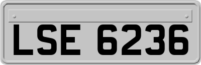 LSE6236