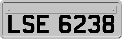LSE6238
